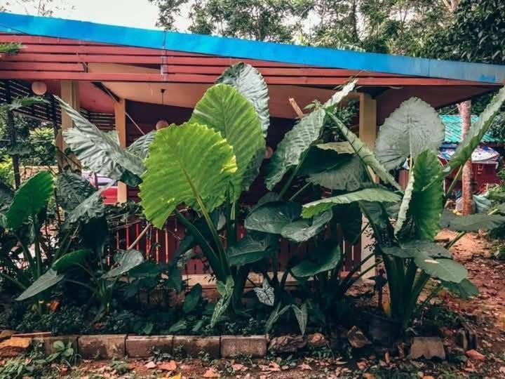 Song Pee Nong Resort Phattalung พัทลุง ภายนอก รูปภาพ